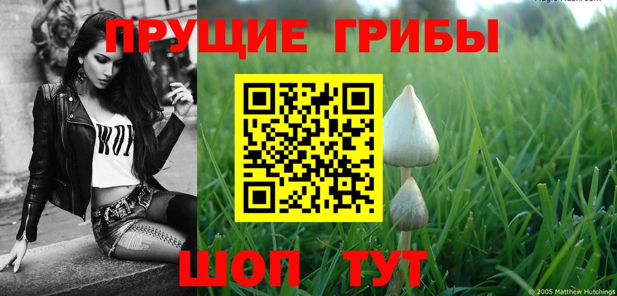 Галлюциногенные грибы мицелий Киров
